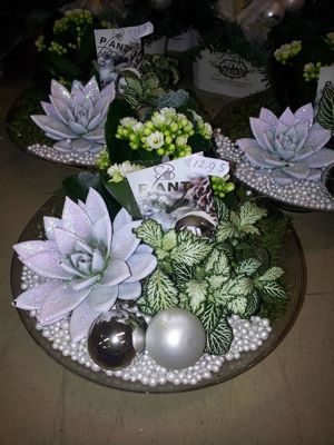 Foto 271 uit NeelyshaBloemen