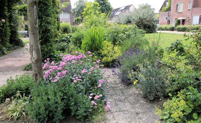 Foto 180 uit TropischeTuin 2017