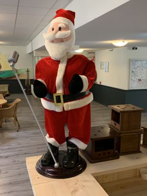 Foto 2 uit Kersversieringen2021