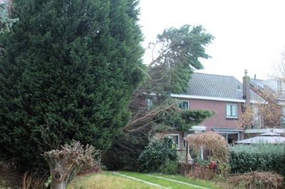 Foto 5 uit Storm Schade18-1-18