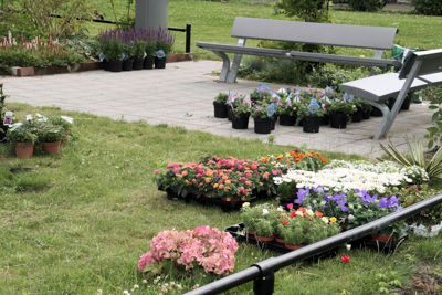 Foto 3 uit TropischeTuin16_07