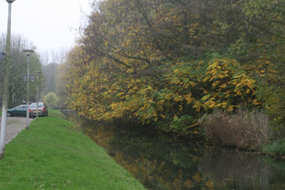 Foto 169 uit Herfst In Beverwaard