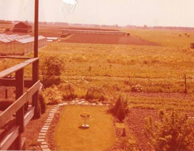 Foto 471 uit SloopEnOpbouwWIJK