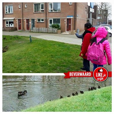 Foto 63 uit LIKEJEWIJK-2016