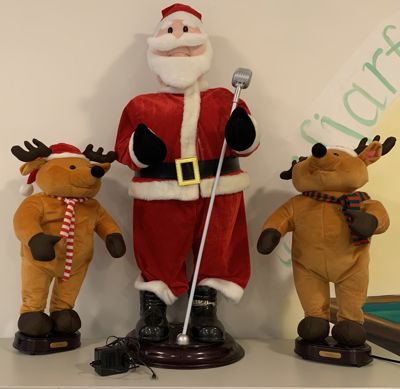 Foto 14 uit Kersversieringen2021