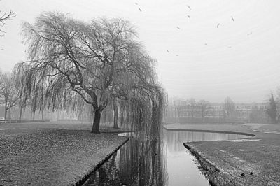 Foto 21 uit Herfst In Beverwaard