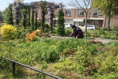 Foto 284 uit TropischeTuin 2017