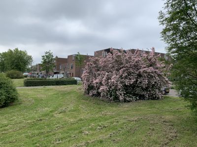 Foto 58 uit Rondje Beverwaard 2026