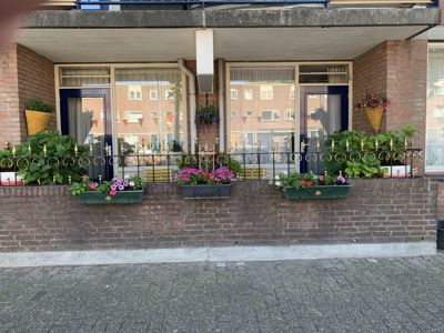 Foto 275 uit StratenBEVERWAARD