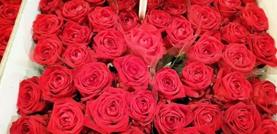 Foto 9 uit 1Jaar Bloemenzaak