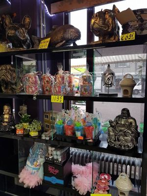 Foto 289 uit NeelyshaBloemen