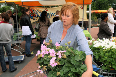 Foto 87 uit OpzoomerenPlantjes