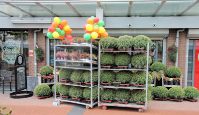 Foto 112 uit De Bloemenboetiek