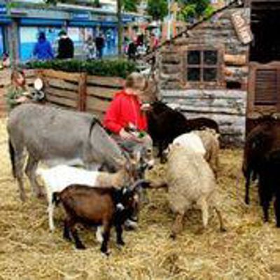 Foto 8 uit LikeJeWijkfeest14-9