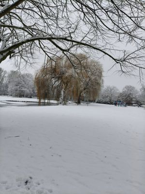 Foto 27 uit X- Sneeuw in de Beverwaard 2026