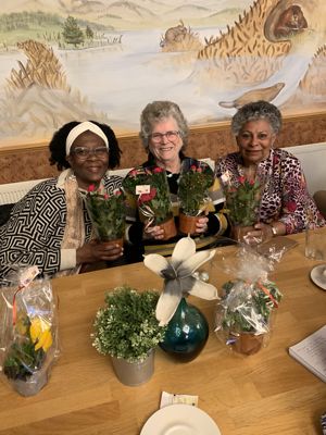 Foto 17 uit Wijkraad IJsselburgh