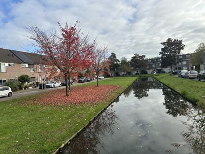 Foto 54 uit X-Herfst Verschillende jaren  2026