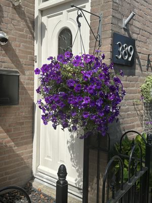 Foto 356 uit Rondje Beverwaard 2026