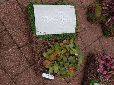 Foto 249 uit NeelyshaBloemen