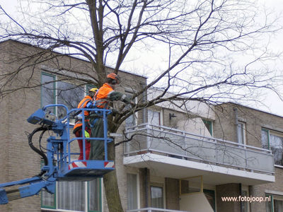 Foto 949 uit WcBeverwVerbouwing