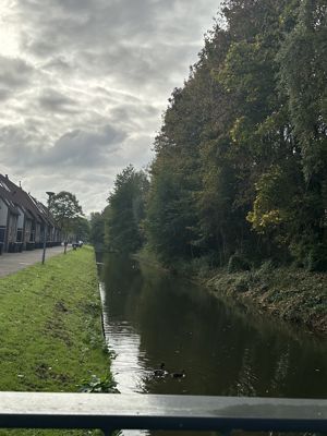 Foto 60 uit X-Herfst Verschillende jaren  2026