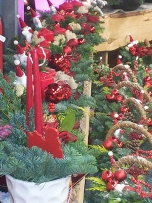 Foto 300 uit NeelyshaBloemen