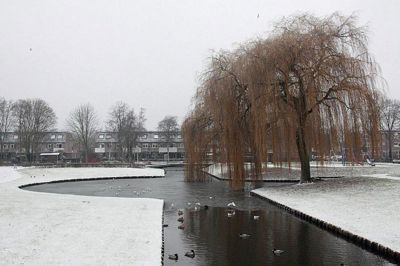 Foto 38 uit WinterIn Beverwaard