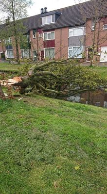 Foto 35 uit StratenBEVERWAARD