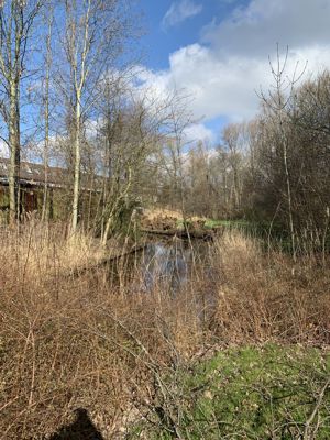 Foto 137 uit Rondje Beverwaard 2026