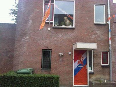 Foto 37 uit OranjeInBeverwaard