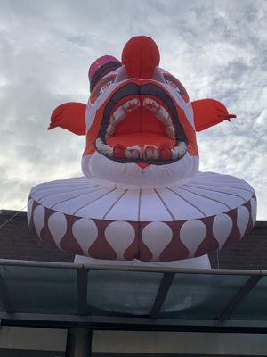 Foto 7 uit Halloween 2022