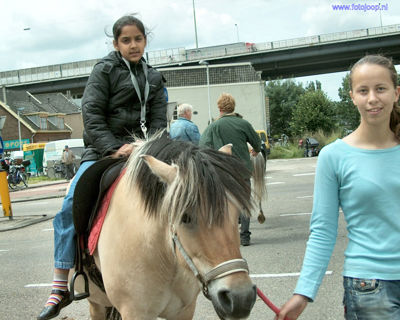 Foto 29 uit Paardenmarkt new07