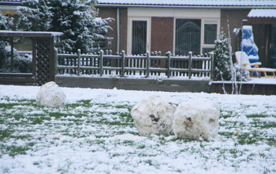 Foto 233 uit WinterIn Beverwaard