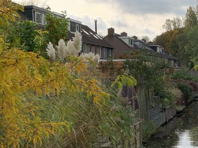 Foto 455 uit Rondje Beverwaard 2026