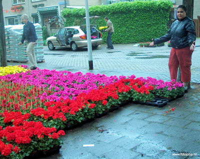 Foto 10 uit opzoomeren 29_5_8