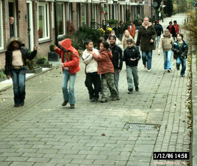 Foto 51 uit bloembollen planten