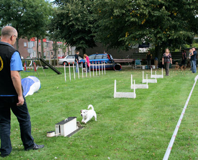 Foto 126 uit Wijkfeest12-09-2009