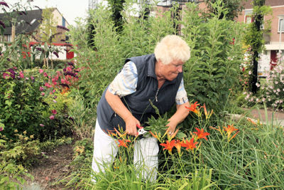 Foto 35 uit TropischeTuin16_07