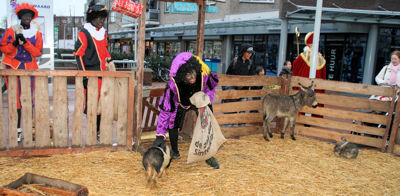 Foto 117 uit Sinterklaas 2009B.W