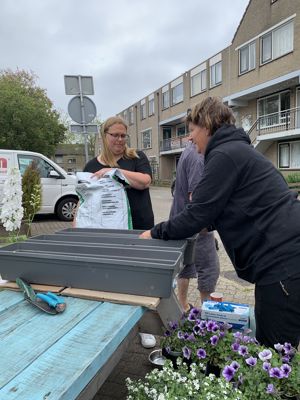 Foto 8 uit PlantenAlerdincksingel