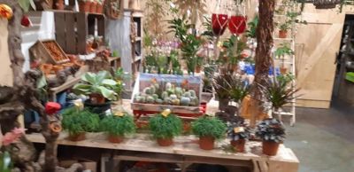 Foto 20 uit WorkShop Chantal