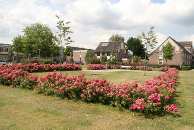 Foto 106 uit StratenBEVERWAARD