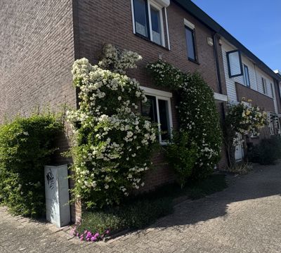 Foto 578 uit Rondje Beverwaard 2026