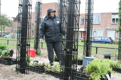 Foto 21 uit Tropische Buurttuin