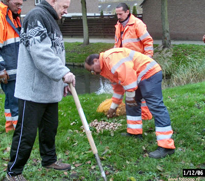 Foto 35 uit bloembollen planten