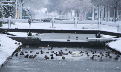 Foto 9 uit Kerst Beverwaard09