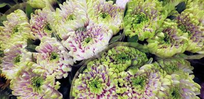 Foto 3 uit 1Jaar Bloemenzaak