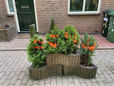 Foto 34 uit StratenBEVERWAARD