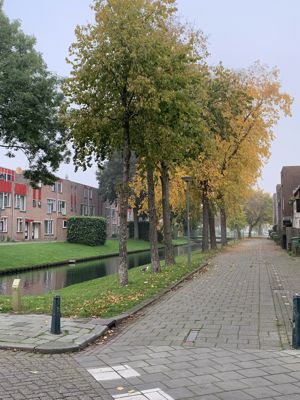 Foto 438 uit Rondje Beverwaard 2026