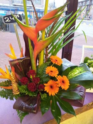 Foto 313 uit NeelyshaBloemen